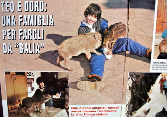 GarfagnanaMontefegatesi8